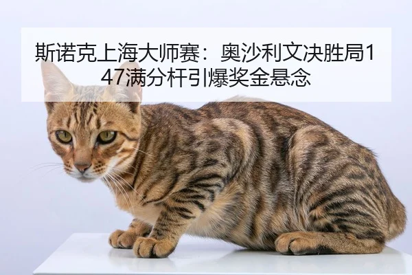 si-nuo-ke-shang-hai-da-shi-sai-ao-sha-li-wen-jue-sheng-ju-man-fen-gan-yin-bao-jiang-jin-xuan-nian-2-187.jpg