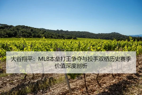 大谷翔平：MLB本垒打王争夺与投手双栖历史赛季价值深度剖析